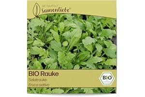 Samenliebe BIO Rauke Samen alte Sorte Salatrauke mild nussige Rucola Salatkraut grün 500 Samen samenfestes Kräuter Saatgut für Küche indoor und Balkon Garten BIO Kräutersamen