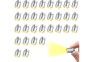 LUKIUP 30 PCS Luces LED PequeñAs, Luces LED Pilas, Mini Lampara LED, Lámpara de Juguete Pequeña para DecoracióN de Fiestas Manualidades, Accesorios para Casa de MuñEcas (Luz Blanco cálido)