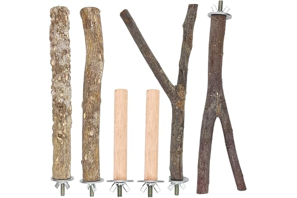 Lot de 6 perchoirs à oiseaux Cage à oiseaux Jouets en bois naturel Branche debout Plateforme de jeu pour petites et moyennes perruches aras pinsons calopsittes perruches conures accessoires pour cage