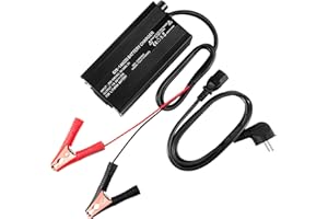 Scooter Corner LiFePO4 Batterie Ladegerät 14.6V 20A, Für 12v 100Ah Lifepo4 Akku Ladung,Krokodilklemmen Schnittstelle Ladegerät,Intelligentes Sechsfach Geschütztes Lifepo4 Lithium Ladegerät