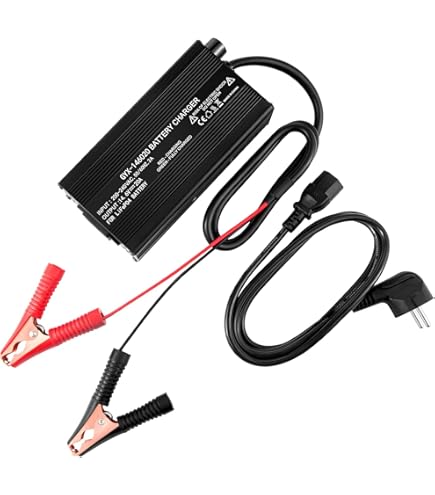 Wiederaufladbare Angel-Köder Batterie & Ladegerät - Für Nachtangeln & Schwimmer