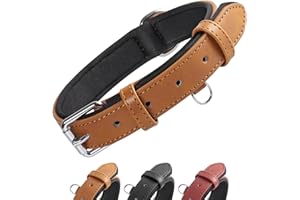 Grand Line Leather Dog Collar, Leather Dog Collar with Soft Padded, Wide and Thick Dog Collar, Adjustable Dog Collar for Small, Medium, Large Dogs (Brown, S)
