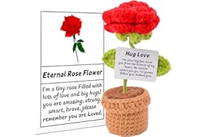 Jadyon Rosa Eterna, Divertida Patata Rosa Muñeca con Tarjeta de Energía, Positiva Pocket Hug Mini Peluche Rose Flower Dolls, Regalos para Mujeres, Decoración para Fiesta Cumpleaños.