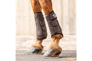 SUNRIDE guêtres de Dressage pour Chevaux (Set de 2) en Cuir véritable de première qualité et néoprène pour la Protection Contre Les blessures (S/26 cm, Marron)