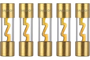 VEXUNGA AGU Fusible Verre Plaqué Or 40A 12V Fusibles Audio de Voiture 12 Volt pour Auto Amplificateurs Sono Voiture Stéréo Sécurité de Puissance Protection (Lot de 5 Pièces)