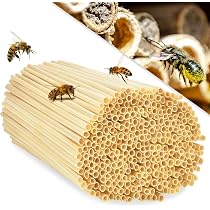500 Tubes En Bambou Pour Abeilles Sauvages - Manchons Nidification 14,5cm | Hôtel à Insectes Écologique
