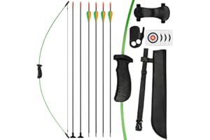 SERfawnCH Recurve Bow & Arrow Set 15lb, Ambidextrous Archery Kit with Safety Arrows, Arm Guard, Target Paper for Outdoor Practice (Green/Blue)