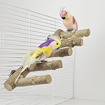 9 Stück Vogelsitzstangen Aus Naturholz – Für Papageien, Sittiche, Nymphensittiche, Mit Plattformen