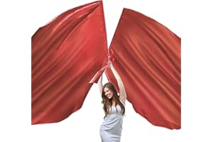 WEISIPU 2 Set 55" Dance Metallic Semicircle Worship Angel Wing Flags with Scalable Rods - Praise Flag for Dance Church Performance