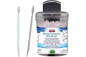 TOPMED ETS Oral Care Dental Brush Teeth Pick Plastic Teeth Floss Toothpick 300 Count (Color May Vary)