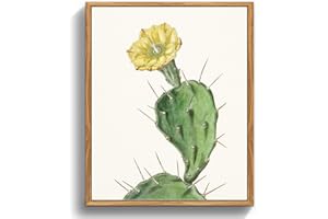 MHARTK66 Quadri Vintage Botanico Soggiorno con Cornice Legno, 20x25 cm Stampe da Parete Opuntia con Una Spina Piante da Fiore, Quadro Camera da Letto Su Tela Decorazioni Parete Desktop Arte Bagno