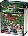 Blumenwiese - Wildblumenmischung (ohne Gräser) von Quedlinburger Saatgut