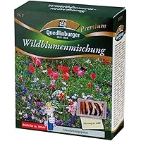 Blumenwiese - Wildblumenmischung (ohne Gräser) von Quedlinburger Saatgut
