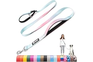 TSPRO Correas para Perros Manos Libres, Ajustables y Resistentes, con Mango Acolchado Suave y Hebilla de Metal, Ideales para Perros de Tamaño Mediano a Grande (Degradado Azul Rosa)