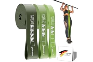 Wild Instincts® Bandas de Resistencia/Bandas Elásticas para Dominadas / 5 Bandas de Entrenamiento Individualmente y en un Set/Banda Elástica Fitness/Bandas Elásticas Musculación