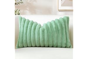 Sungeek 1 Stück Plüsch Samt Kissenbezug, Kunstpelz Weich Kissenbezüge Sofakissen Dekokissen Deko Zierkissenbezüge Flauschig Kissenhülle für Schlafzimmer Wohnzimmer (40x60cm, Hellgrün)