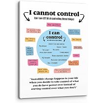 Poster Ispirazionale 'Things I Can Control' - Cornice In Legno 31,8x43,2 Cm Per Salute Mentale, Ufficio E Terapia