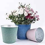 Blumentopf 6 Stück, Blumentöpfe Set, Pflanzenkorb, Metallbehälter mit Retro Blumenmuster für saftige Pflanzen unterschiedlich