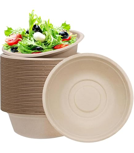 100 Bols Jetables En Bagasse 350ml - Compostables, Micro-ondables - Écologiques Pour Aliments