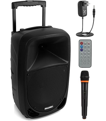 Cassa Bluetooth Portatile 60W Con Microfono &ndash; Altoparlante 12 Pollici, Luci, FM, AUX, USB &ndash; Nero