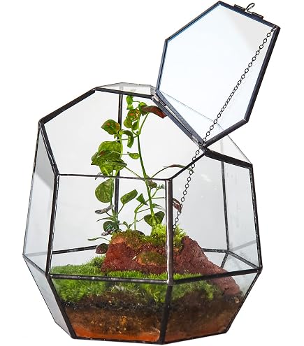 Relaxdays Pflanzenterrarium Aus Glas & Zinn – Offenes Mini-Gewächshaus Für Kakteen, Sukkulenten & Moos – Deko-Glashaus Für Fensterbank, Tisch Oder Regal – Geometrisch & Stylisch Pflanzenterrarium Glas Zinn