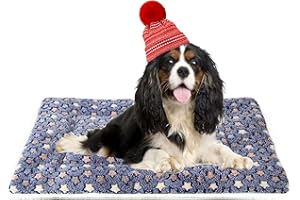 MORA PETS Dog Bed Mat Small Washable Dog Crate Mattress for 30 inch Cage Soft Flat Pet Cushion Bedding Puppy Pillow Blanket for Cats Puppy Dogs Reversible 74x54cm Blue