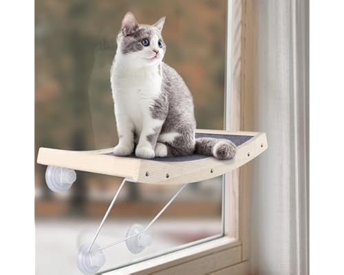 cat window bed amazon