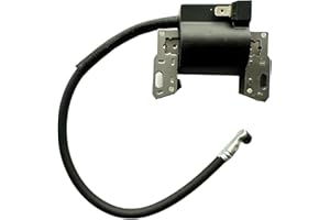 GARDENP+ 398593 Ignition Coil Module Magneto for Briggs & Stratton 2-4 HP Engines, replace 793281, 793352, 792594, 395489, 398593 496914