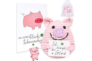 DAMIGHT Pocket Hug Glücksschweinchen, Strickwolle Schwein Puppe mit Energiekarte, Positive Kartoffel - Ersatz, Mutmacher Geschenk, Glücksbringer Prüfung Geschenk, Warme Geschenke für Familie und Freunde