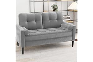 Aotumm Ciort 2 Sitzer Sofa, Samt Couch Sofa mit 2 Kissen und Armlehnen, Mid-Century Moderne Couch, Kleine Sofa, 2er Couch Loungesofa, Bequemes 2-Sitzer Sofa für Wohnzimmer, Schlafzimmer, Hellgrau