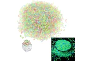 Yuqilin Piedras Decorativas Jardin,10000 Piezas Piedras Luminosas Jardin Piedras Acuario Piedras Jardin Piedras para Macetas Grava Jardin Piedras Decorativas para Jarrones(Color Múltiple)