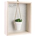 HOME DECO Factory Decorative Wall Frame Shelf Unit with Succulent Greenery for Indoor Decor Hanging Plant