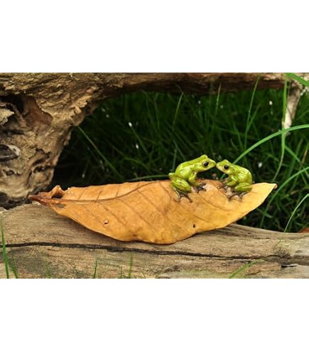 Miniatur-Frosch Auf Stein Für Feengarten & Terrarium – Handbemalt, 5,7 Cm Hoch