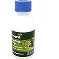 Dragonfli Mealybug Killer Predators - Cryptolaemus montrouzieri Adults Control Mealybug Indoors (500)