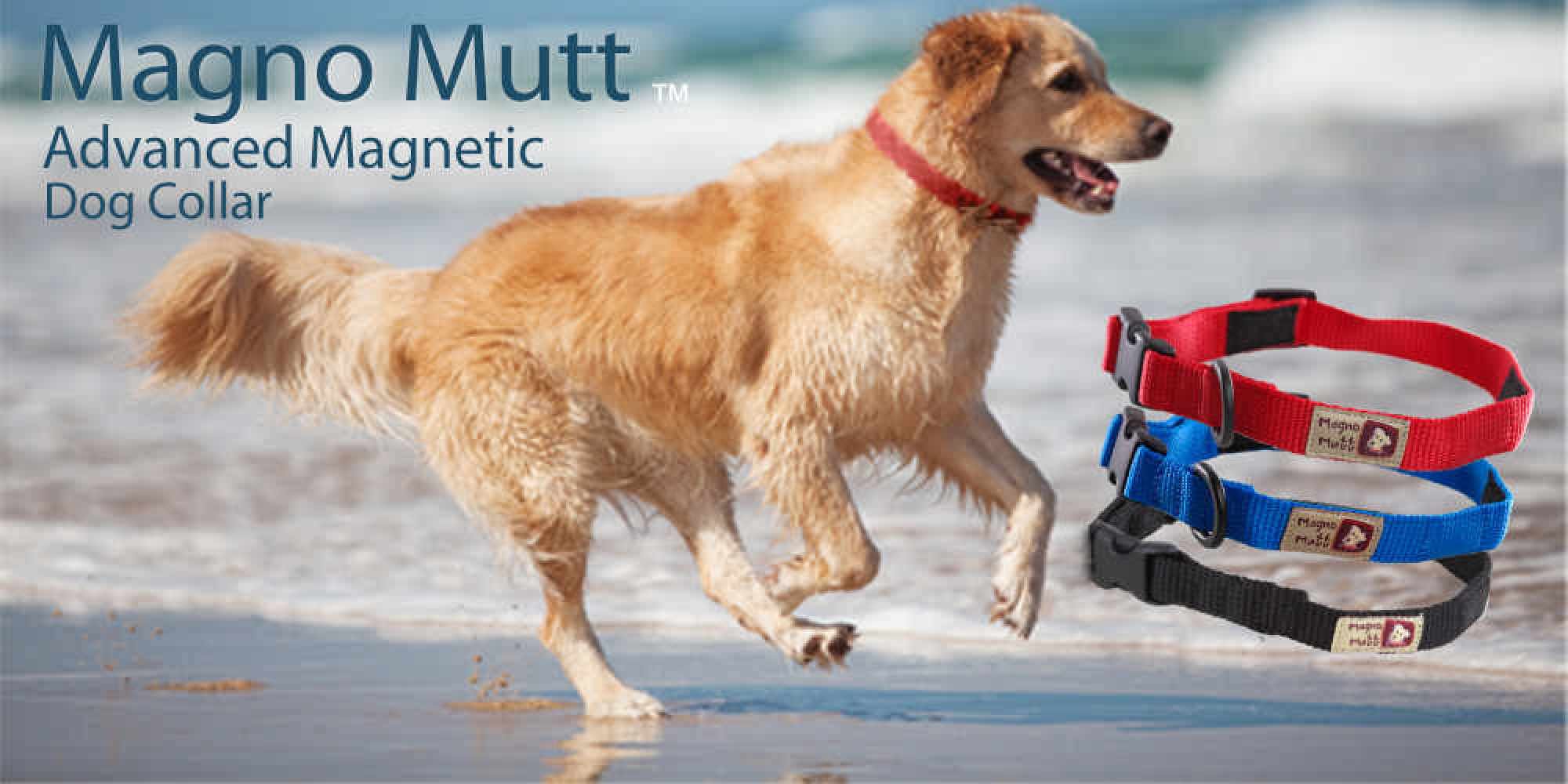 Magno Mutt Advanced Dog Collar Cherry Red Large (19 25