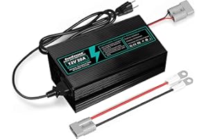 EverExceed Chargeur Lifepo4 12V 20A 14,6V Chargeur Lithium Lifepo4 AC-DC, Chargeur de Batterie Lifepo4 14,6V 20A pour Batterie Lifepo4 au Lithium à Cycle Profond de Voiture, Marine, VR