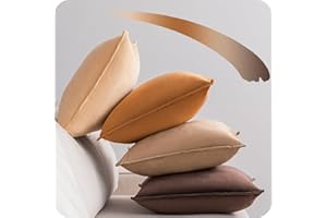NOSTHEART Brown Cushion Covers 40x40cm Set of 4 Velvet Cushion Covers Soft Decorative Throw Pillow Cover Luxury Pillow cases for Home Sofa Couch Living Room with Invisible Zipper