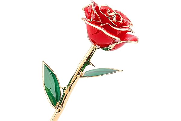 Guld doppad ros, alla hjärtans gåvor för henne ZJchao 24 karat guld doppade riktiga blommor, kärleksgåva för flickvän födelsedag jul årsdag hem kontor dekoration