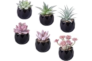 Tifuly 6Pcs Mini Assorted Artificial Succulent Plants Pot,Faux Succulent Plants Realistic Fake Greenery Simulation Plant with Black Geometric Ceramic Planter Pots Home Office Decor(Combination 6)