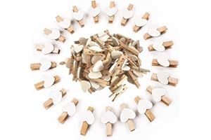 aqlbhz 100 Pcs Mini Wooden Clothespins Pegs for Crafts, Wall Decor, Home, School, Clothing, Weddings & Events, 3cm