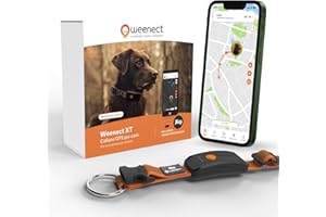 Weenect Dog XT - NUOVO Collare GPS per Cani | Antenna XL | Impermeabile | Collare arrancione ultra-resistente integrato Julius-K9 | Garanzia a vita | Abbonamento richiesto