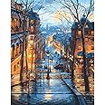QYSFriday Paint by Numbers,Paint by Numbers for Adults Beginners 16 x 20 Inch Drawing Paintwork with Paintbrushes City Street Painting by Numbers Home Wall Decoration Without Frame