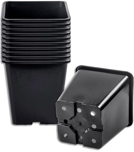 Sottovasi Quadrati In Plastica Nera 29x29 Cm - Confezione Da 12 Pezzi, Per Interni Ed Esterni, Altezza 4,4 Cm