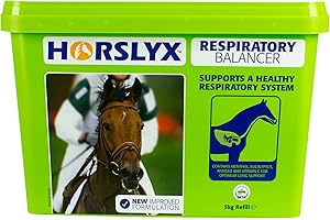 Horslyx Respiratory Lick (650g) (May Vary)