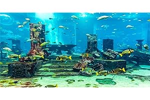 MIRRORANG 180x46cm Sottomarino Tema Acquario Sfondo Colorato Corallo Pesce Tropicale Rovine Mondo Subacqueo Pesce Serbatoio Poster Sfondo Vinile