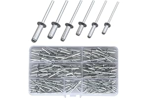 LEMIYOO 210 Stück Blindnieten Set,Aluminium Dom Großflansch Nieten Sortiment Kit(M3,2/M4/M5) Länge(8/10/12/14/16mm) Popnieten für Metall, Aufbewahrungsbox,Möbel,Marine (Silber)