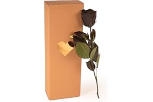 ROSEMARIE SCHULZ HEIDELBERG Rosa eterna nera – vera rosa eterna con manico 30 – 35 cm di lunghezza 3 anni – fiori neri decorativi per donne per il compleanno – migliore amica regalo (nero)