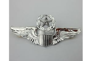 WWII US Army Air Forces Aviator Pilot Wings Badge Captain USAAF Pin