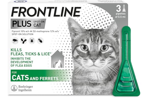best flea solution for cats