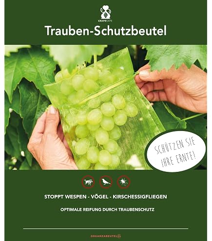 Sachets De Protection Pour Raisins – 100 Pièces En Organza, 20x30 Cm, Avec Cordon Serrage